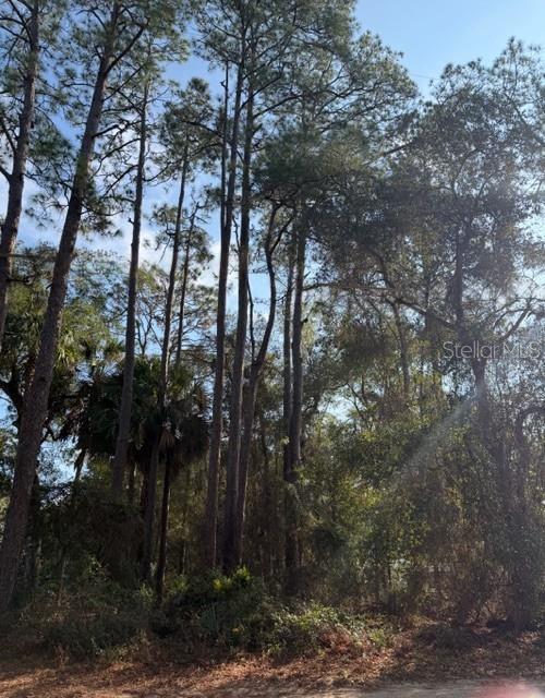 Image 2 of 5 For Tbd 236 Terrace