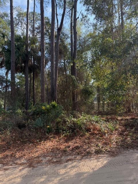 Image 3 of 5 For Tbd 236 Terrace