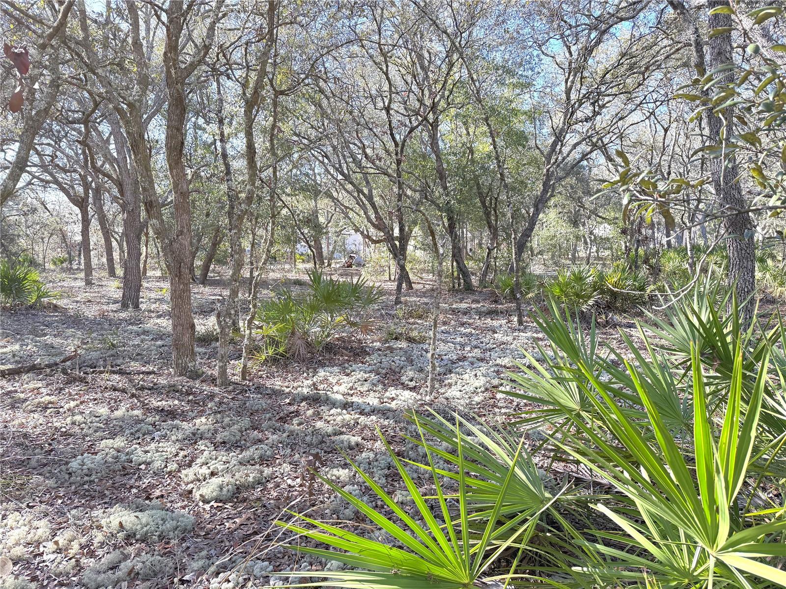 Image 41 of 43 For 8261 118th Terrace