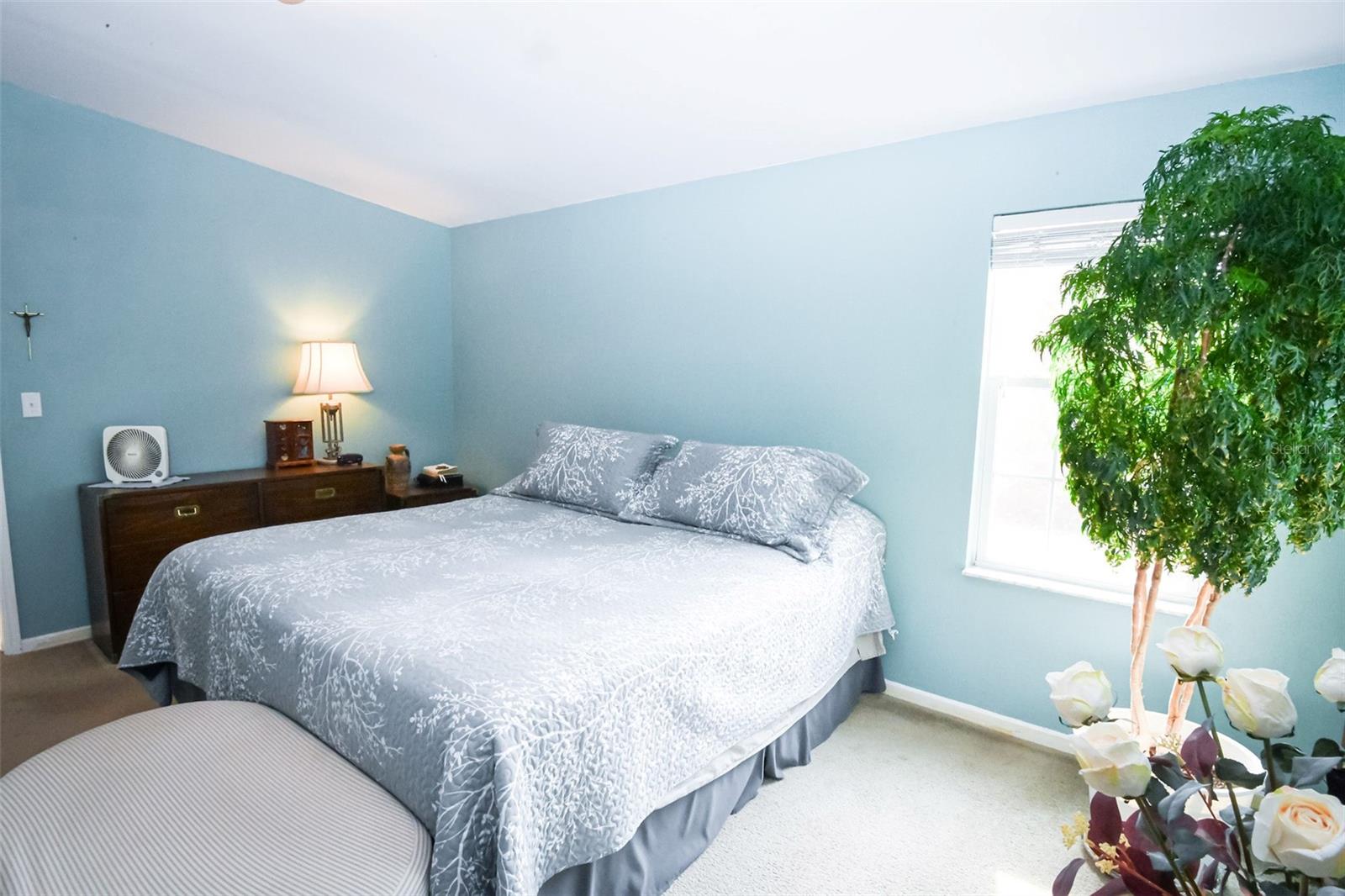 Image 11 of 24 For 201 Plumosa Drive