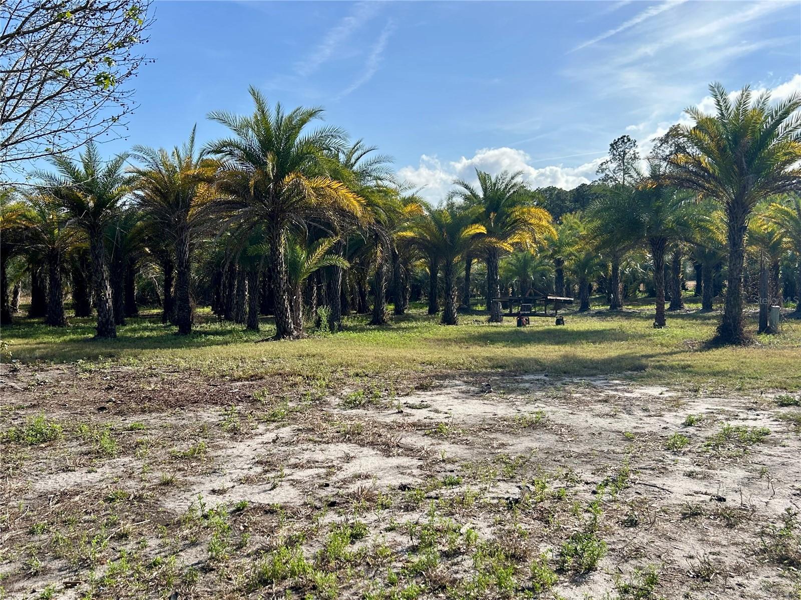 Image 11 of 22 For 12714 State Road 33