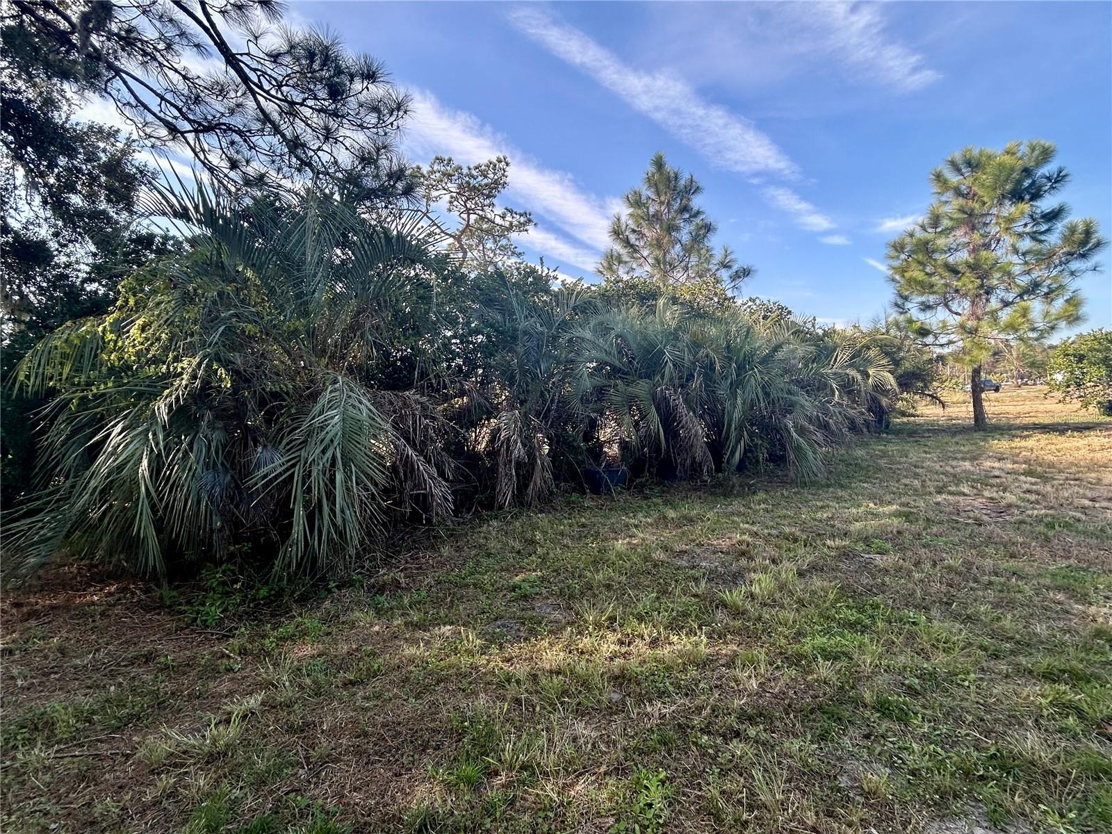 Image 13 of 22 For 12714 State Road 33