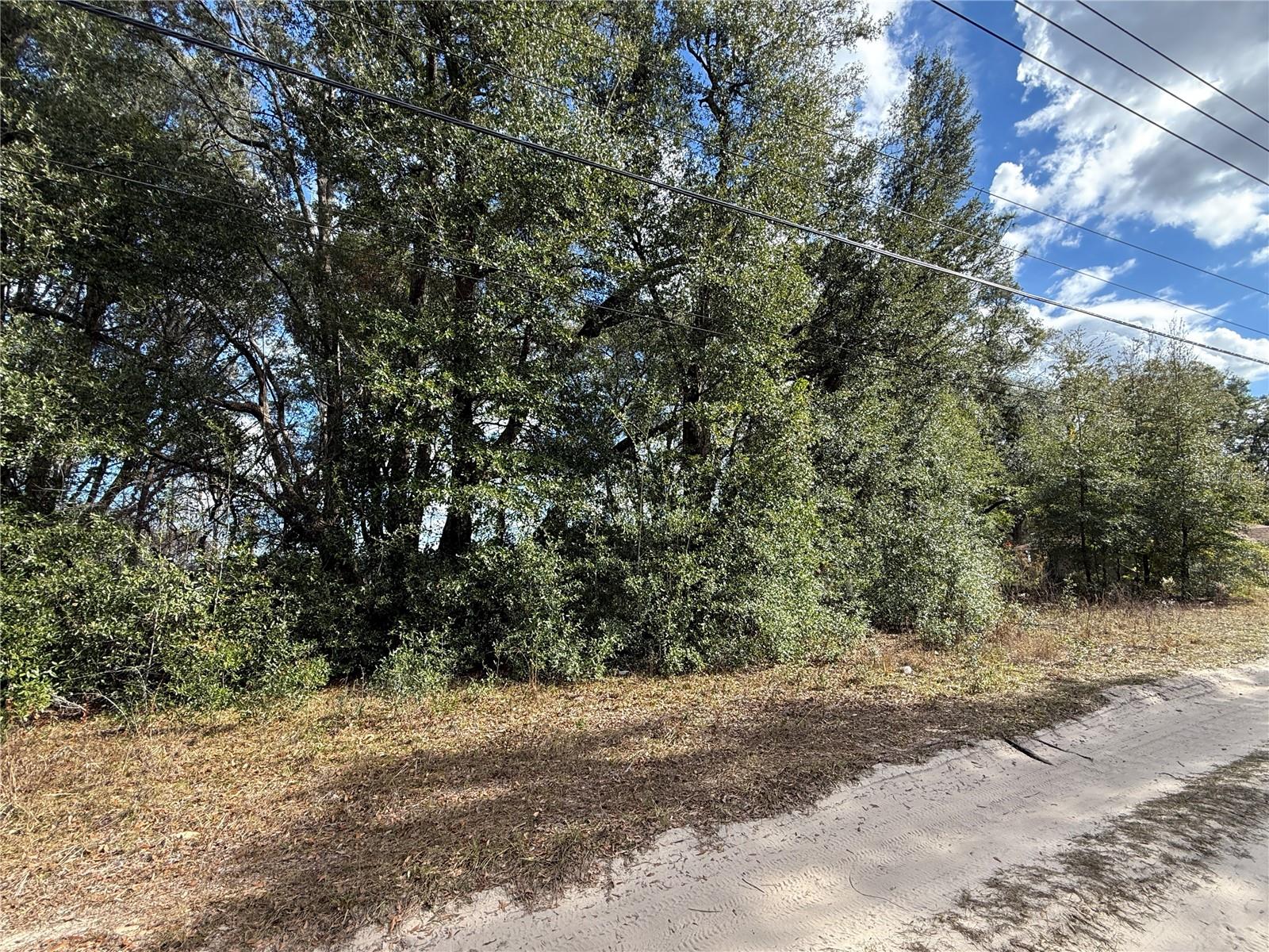 Image 6 of 7 For 1467 52nd Avenue