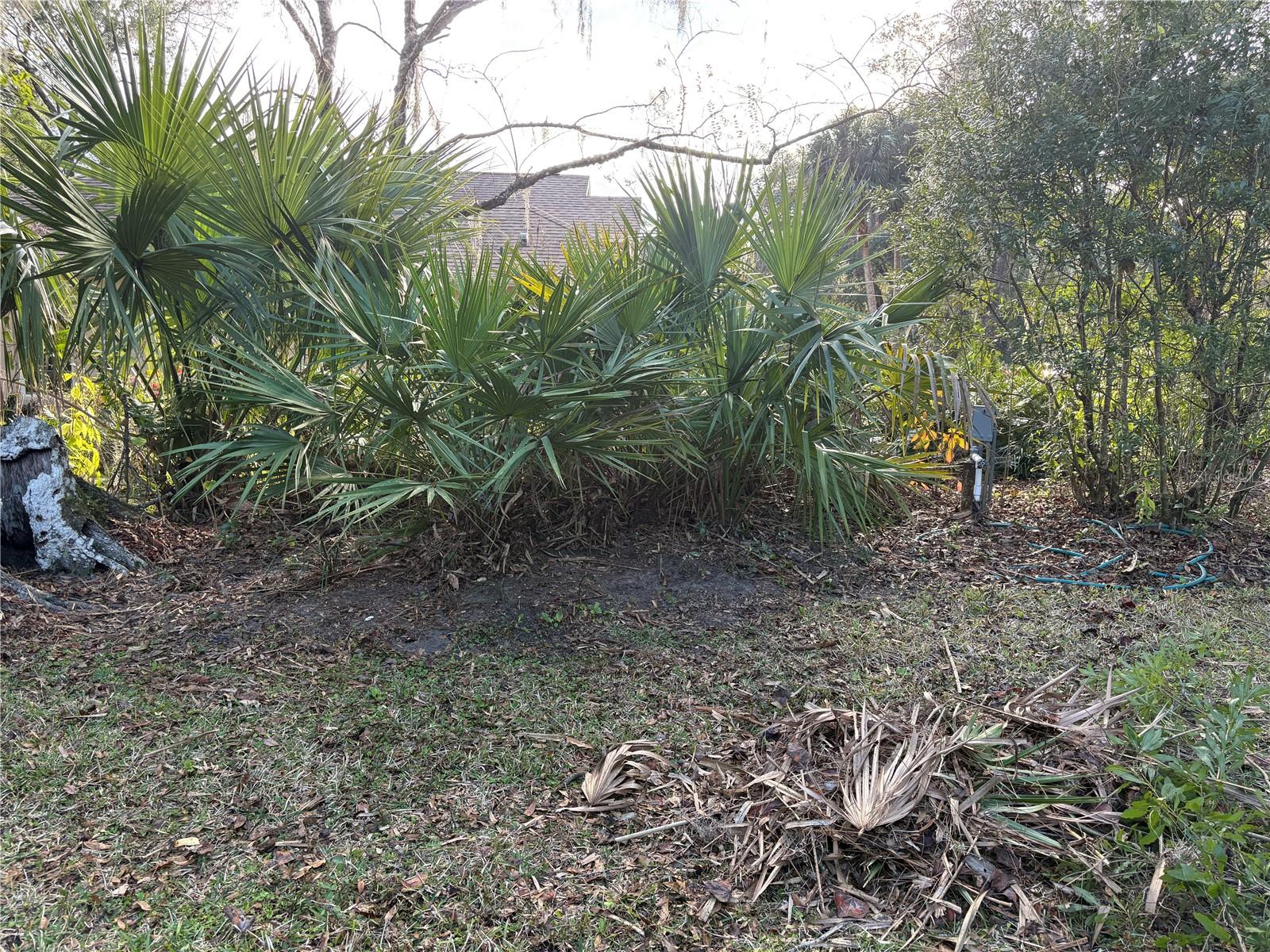 Image 45 of 60 For 18956 93rd Loop