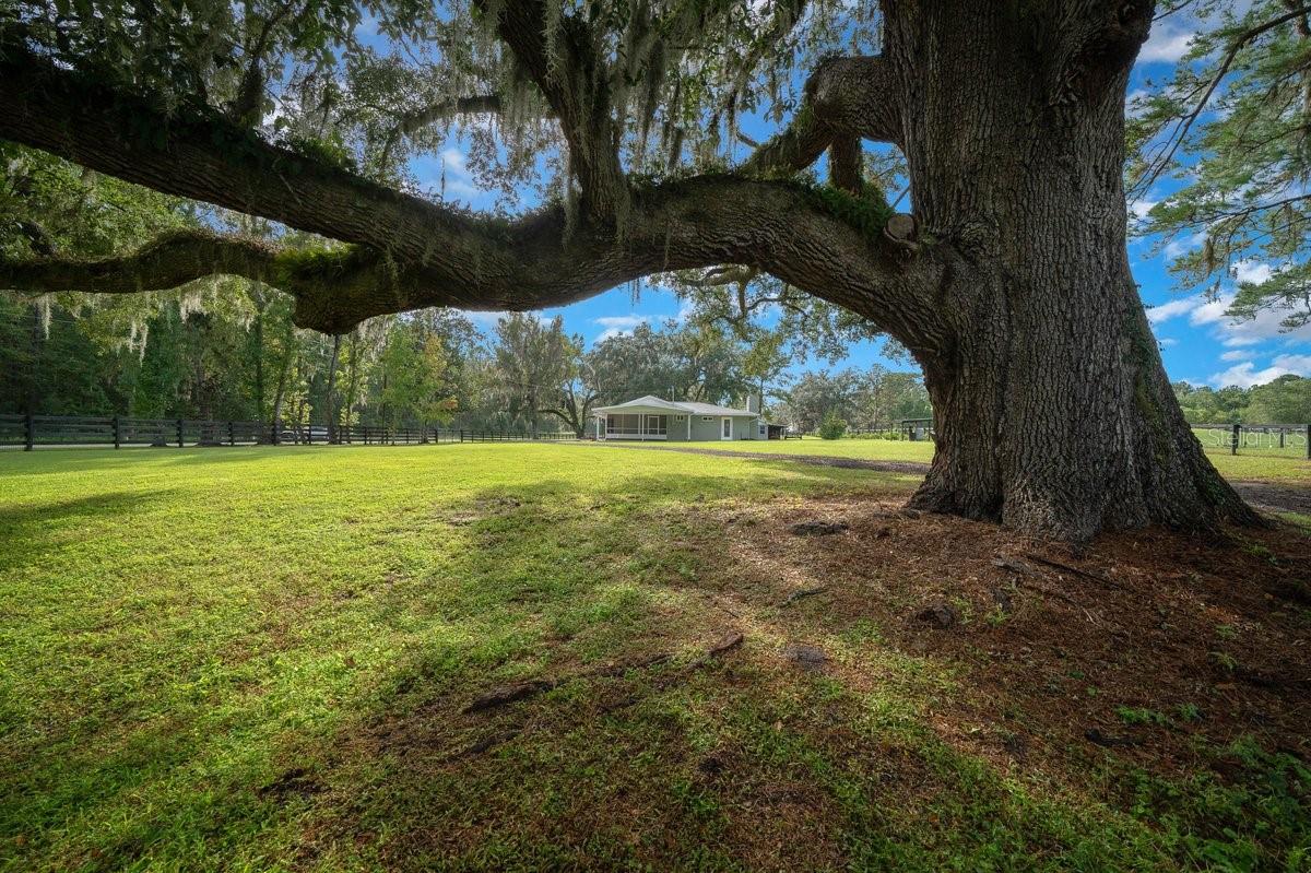 Image 3 of 36 For 10025 28th Place