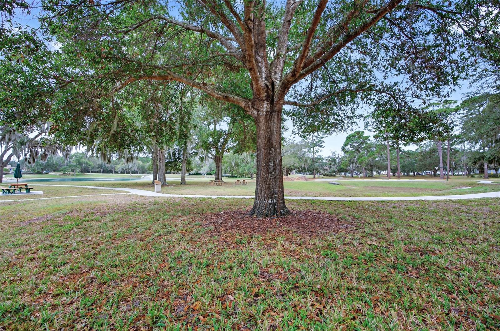 Image 48 of 60 For 6243 Lexington Drive