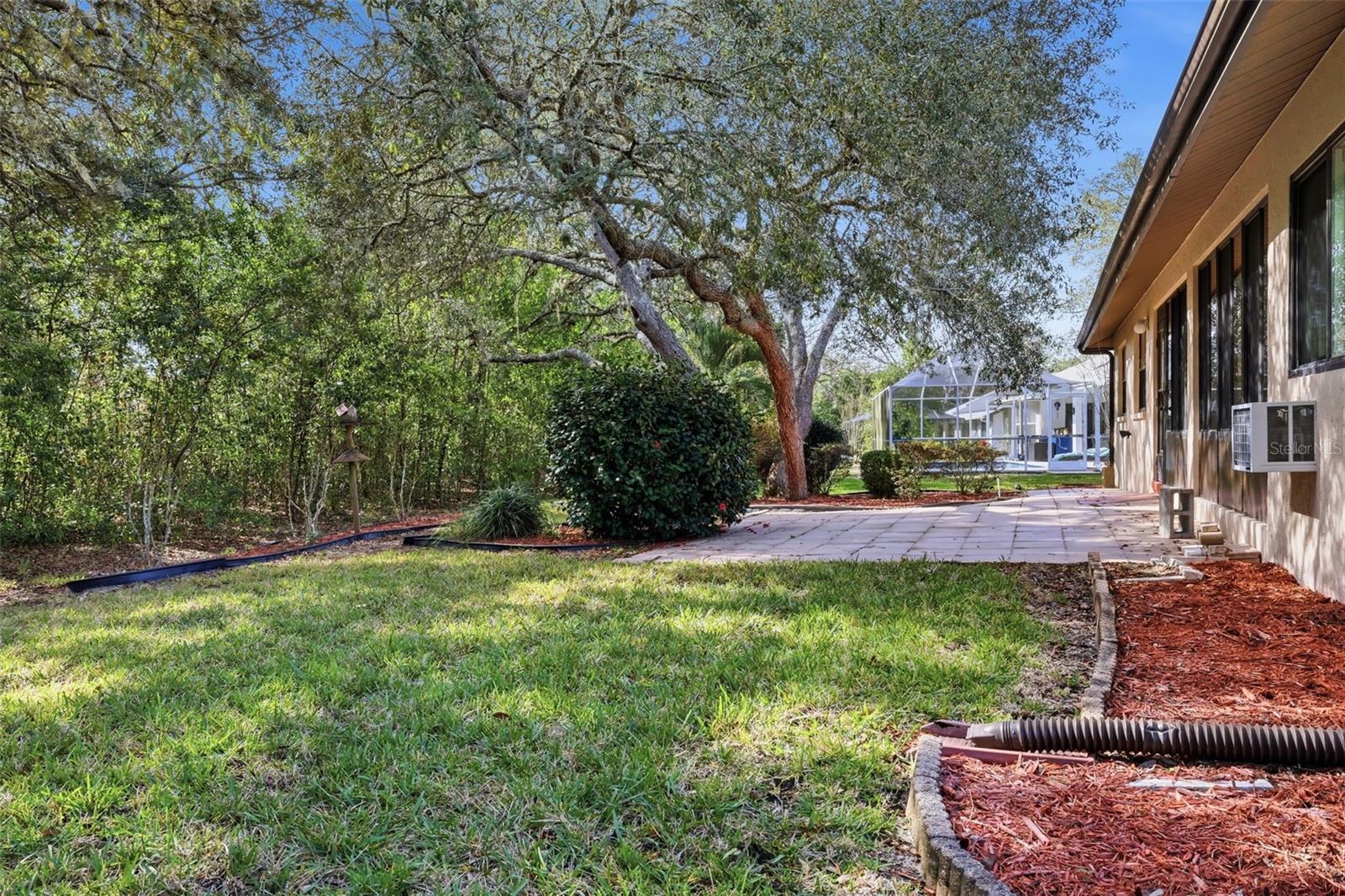 Image 25 of 31 For 37 Birchtree Street