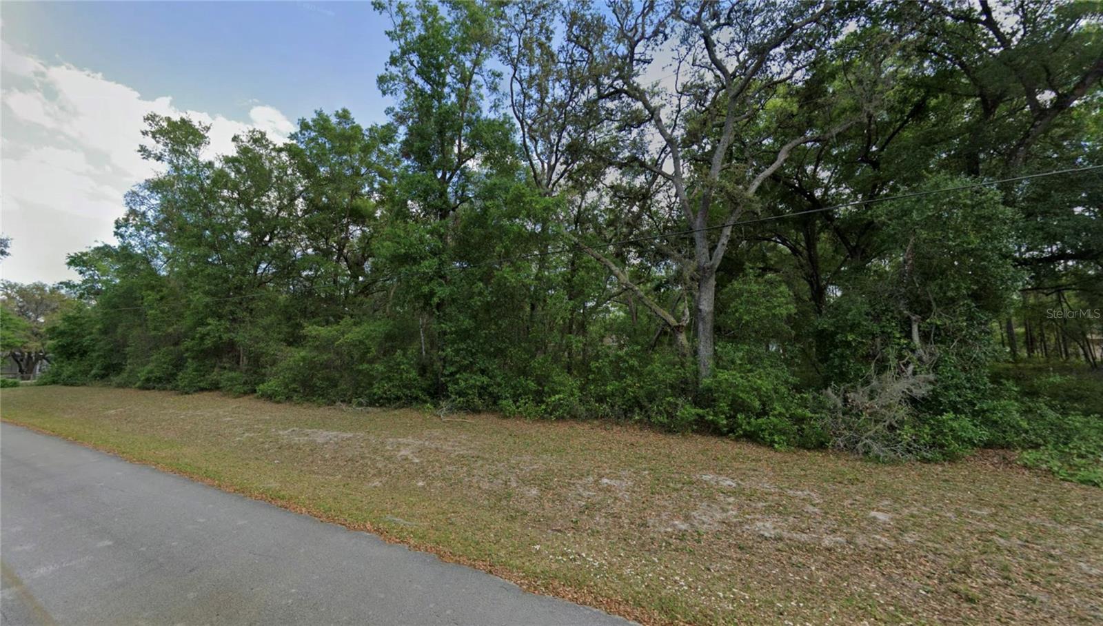 Details for Tbd 59th Street, OCKLAWAHA, FL 32179
