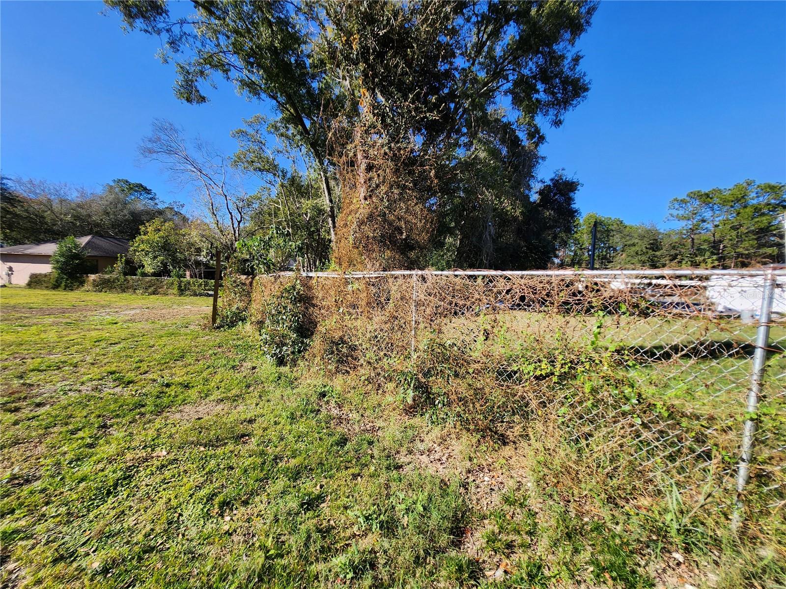 Image 15 of 23 For 238 Bahia Circle