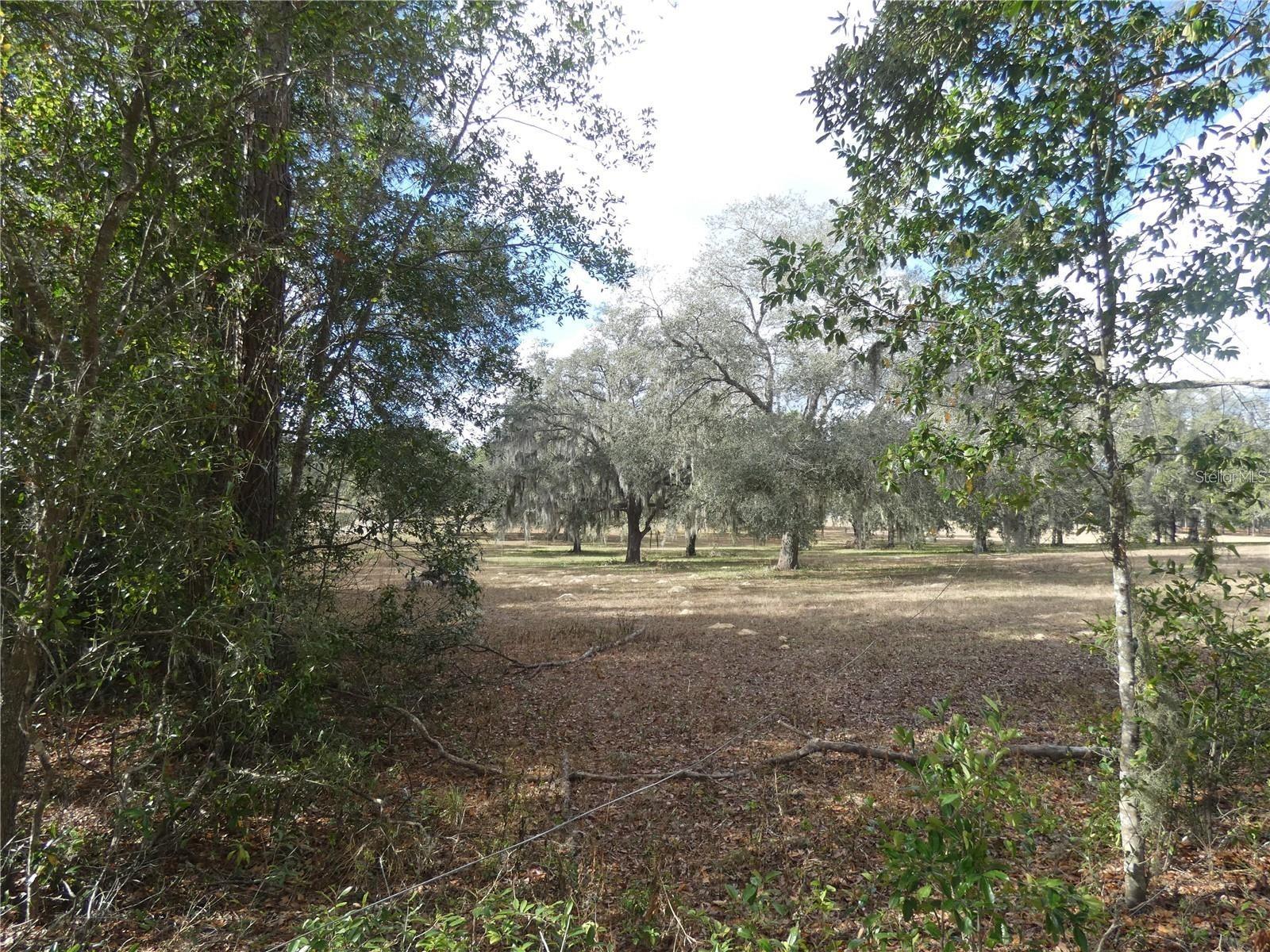 Image 4 of 11 For 10887 Circle M Avenue