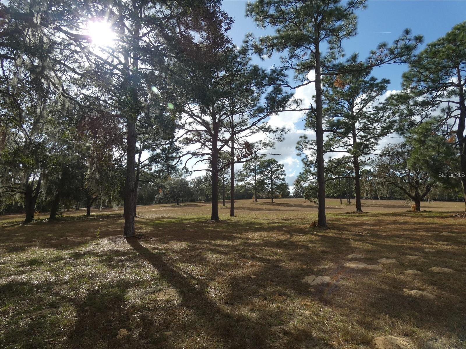 Image 6 of 11 For 10887 Circle M Avenue