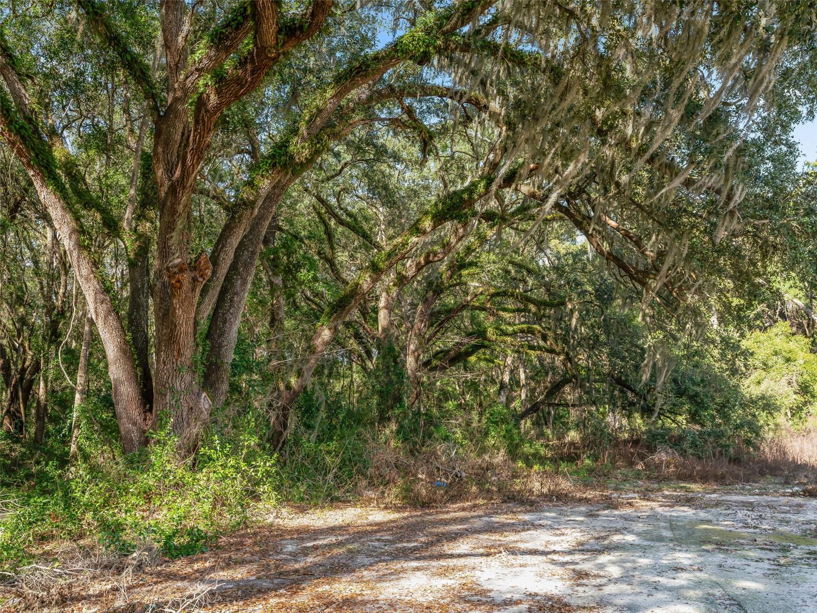 Image 27 of 30 For 950 200th Avenue