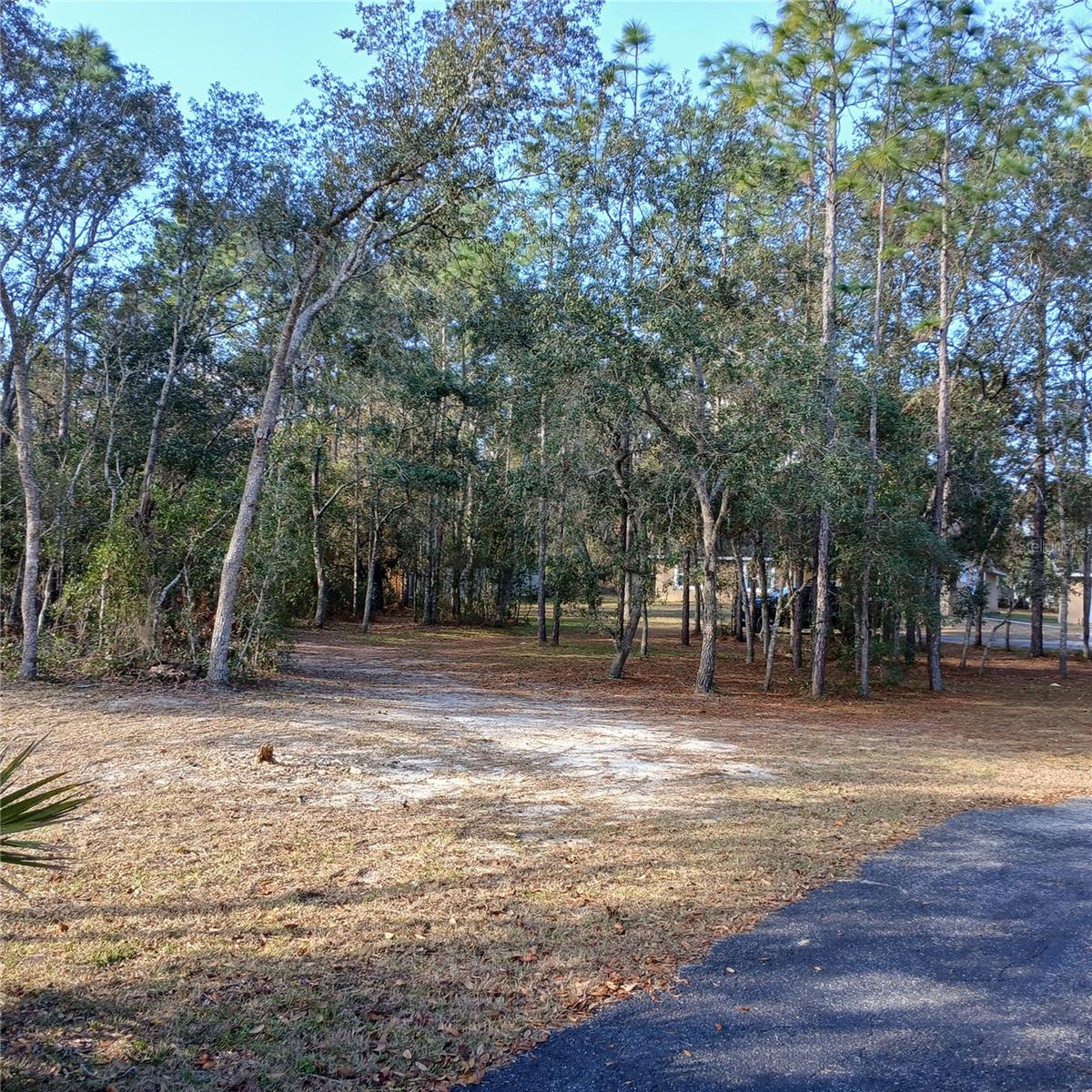 Image 4 of 76 For 2626 Columbine Avenue