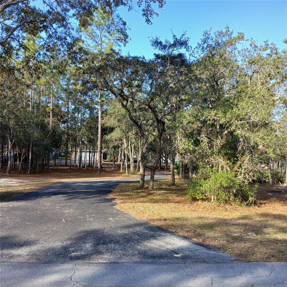 Image 5 of 76 For 2626 Columbine Avenue