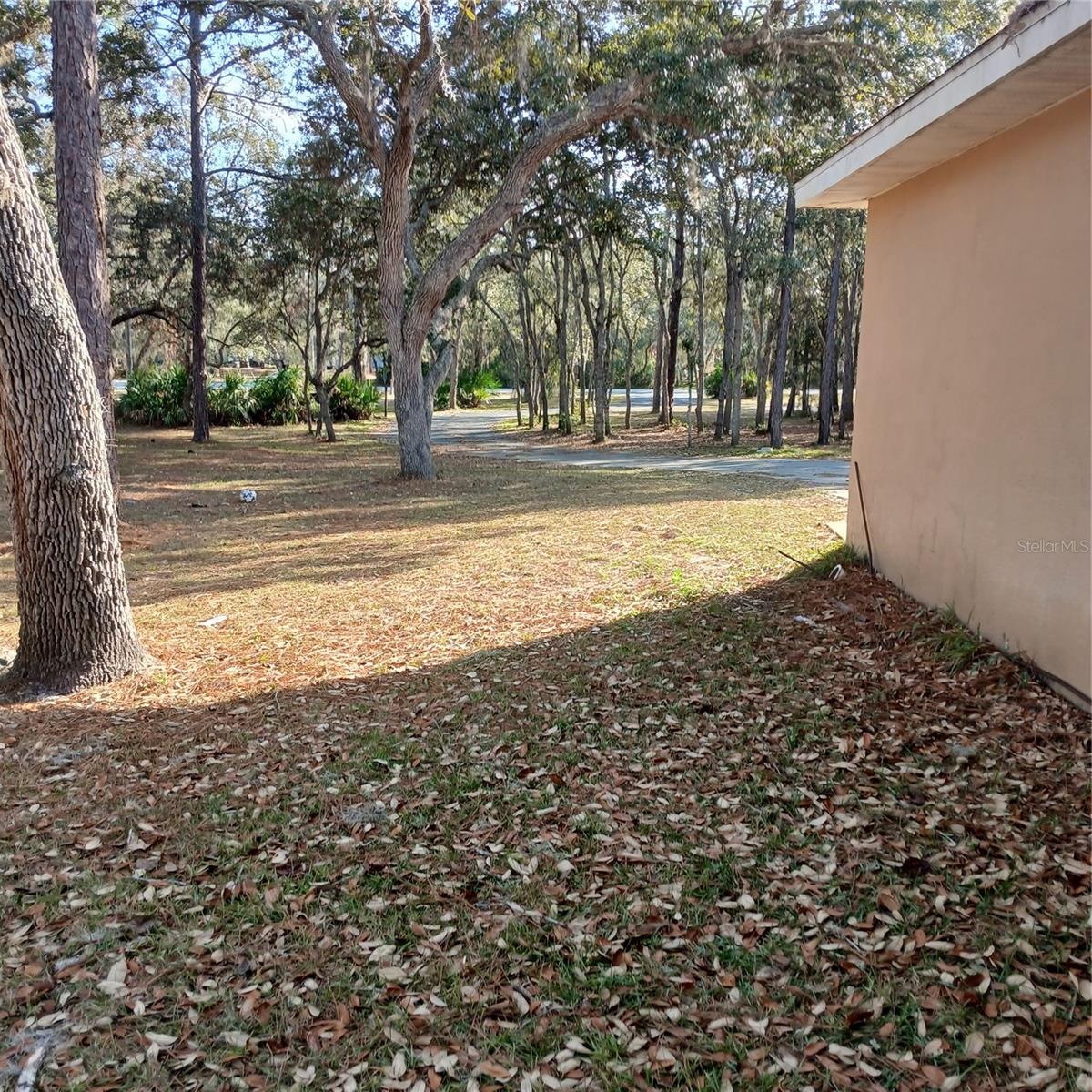 Image 9 of 76 For 2626 Columbine Avenue