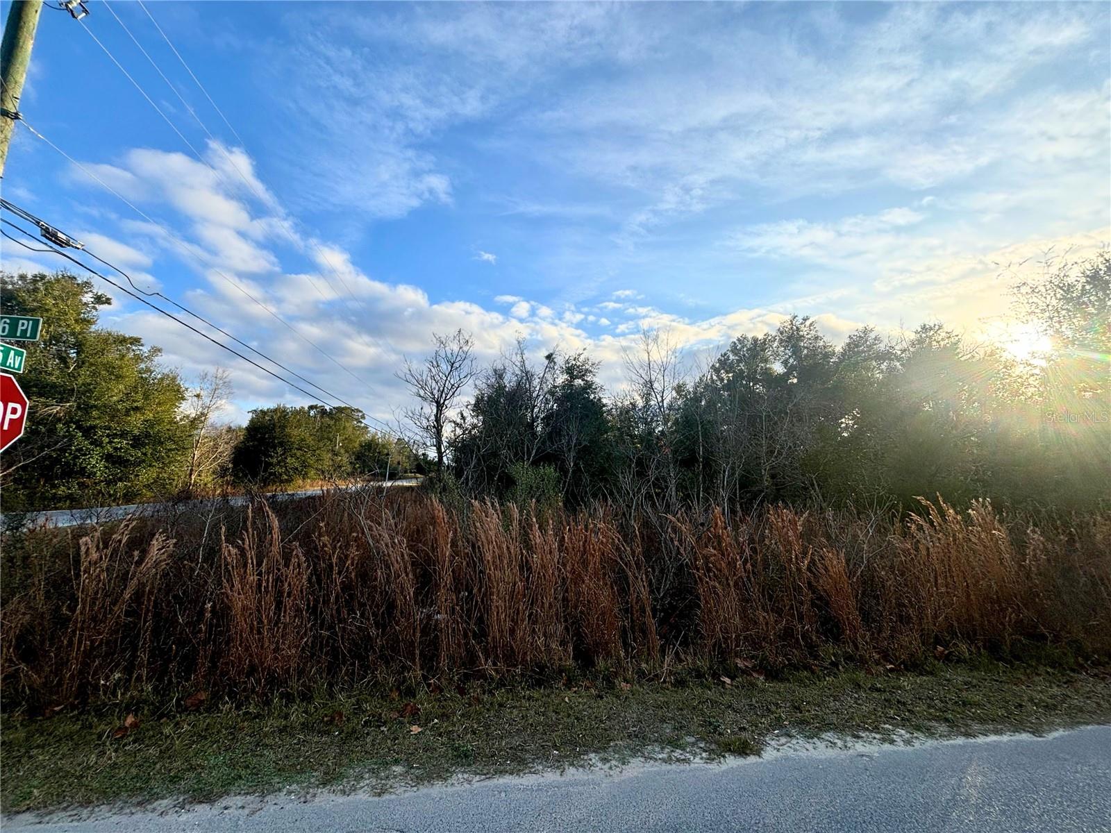 Image 2 of 4 For 0000 6th Place