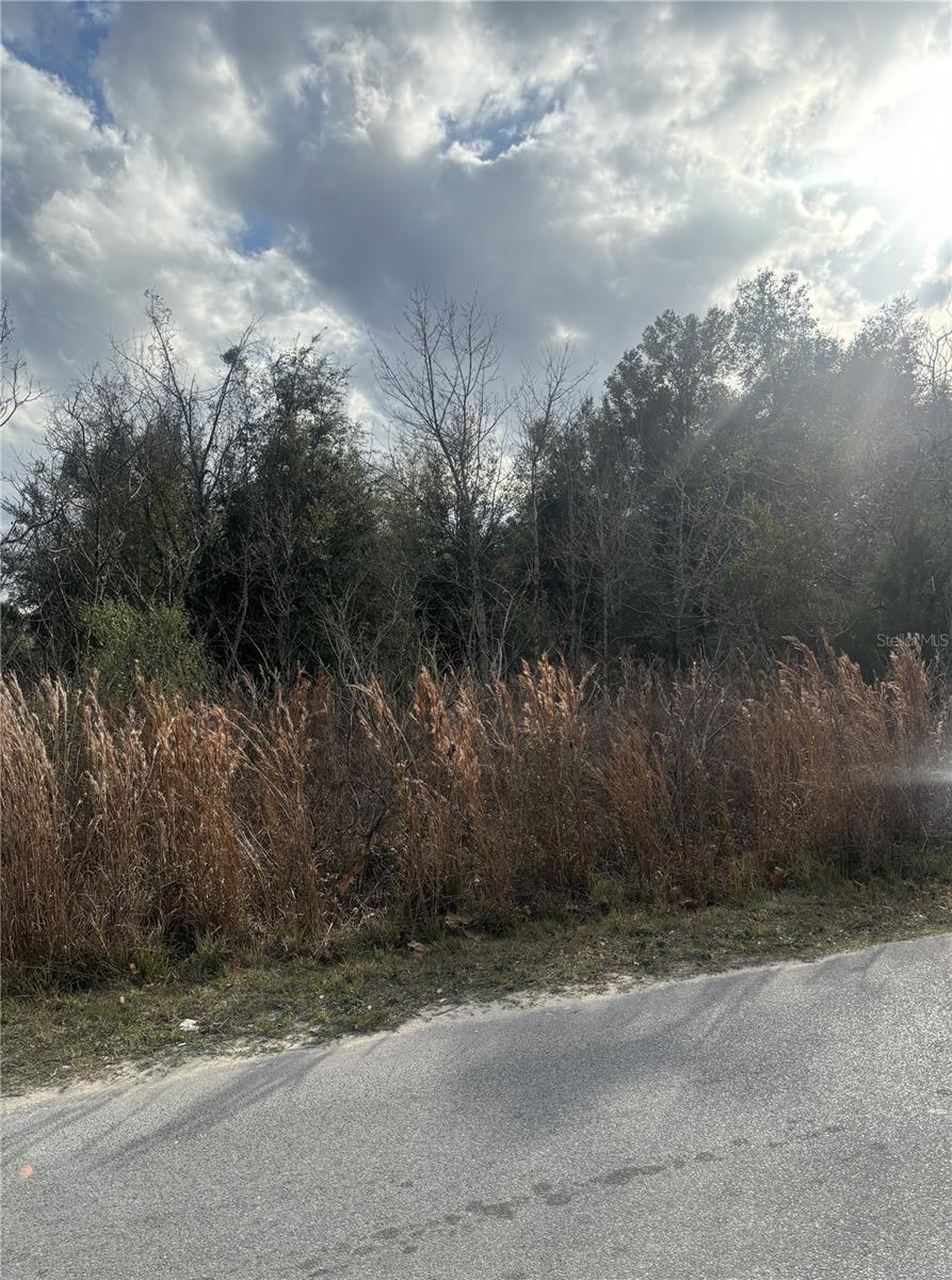 Image 4 of 4 For 0000 6th Place