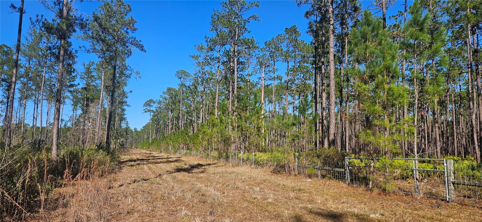 Image 10 of 33 For 98ac 137th Avenue Road