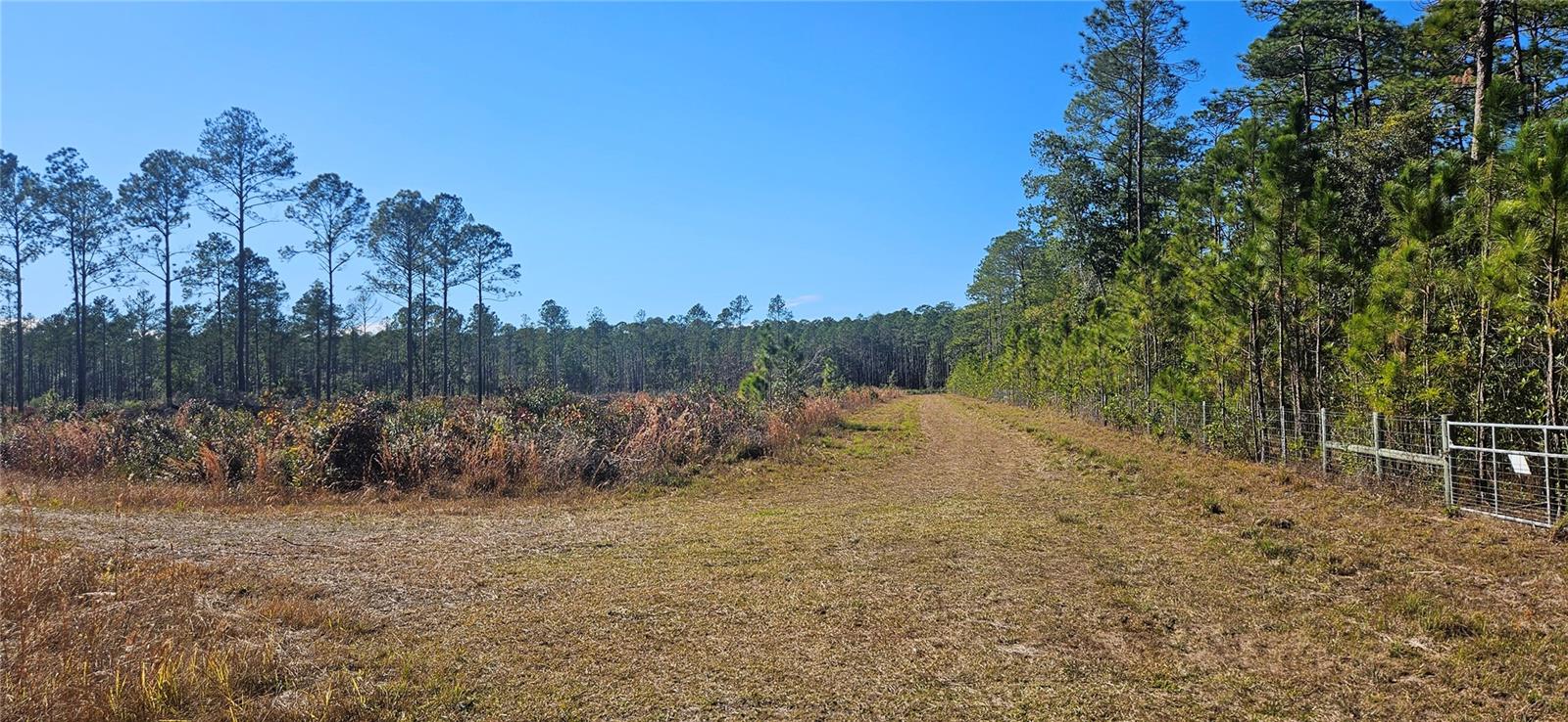 Image 11 of 33 For 98ac 137th Avenue Road