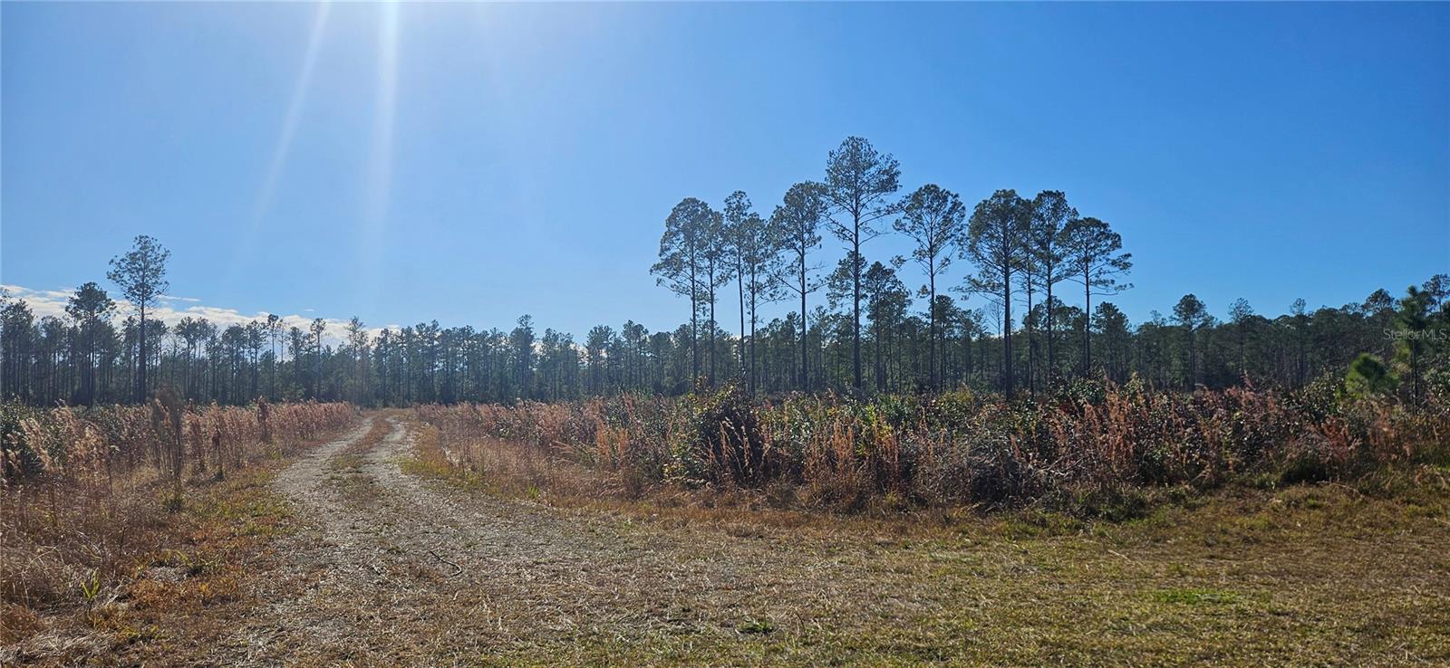 Image 12 of 33 For 98ac 137th Avenue Road