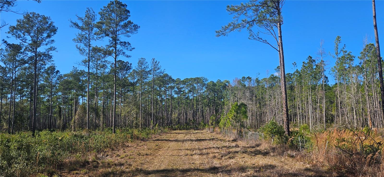 Image 13 of 33 For 98ac 137th Avenue Road