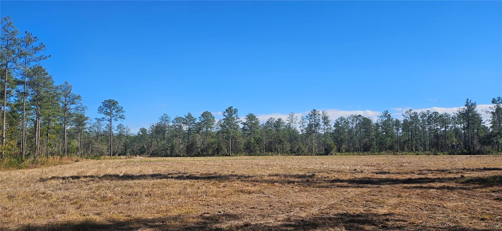 Image 14 of 33 For 98ac 137th Avenue Road