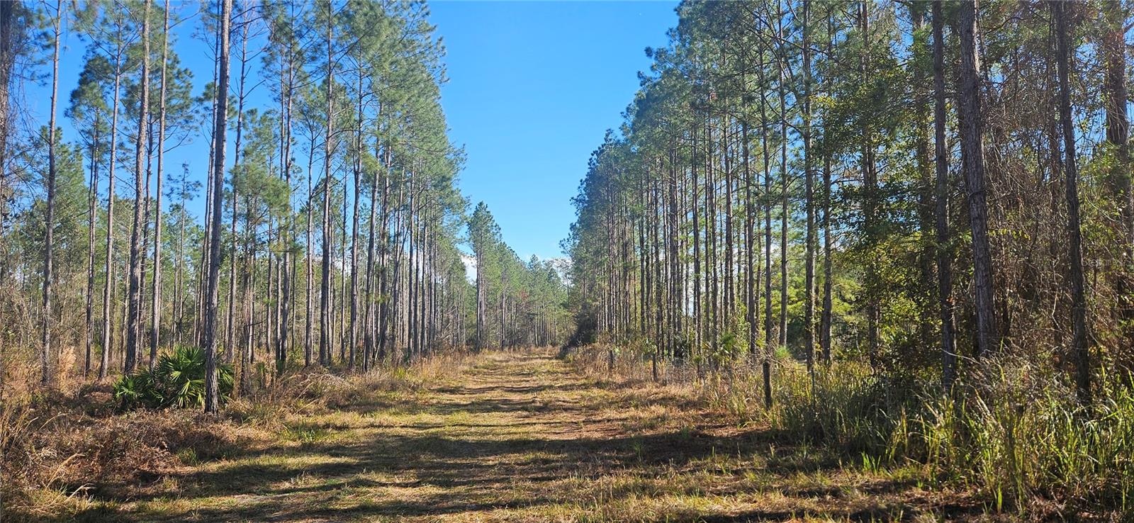 Image 15 of 33 For 98ac 137th Avenue Road