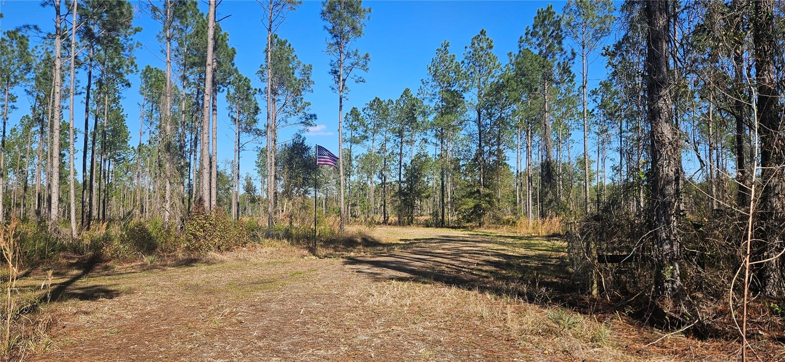 Image 17 of 33 For 98ac 137th Avenue Road