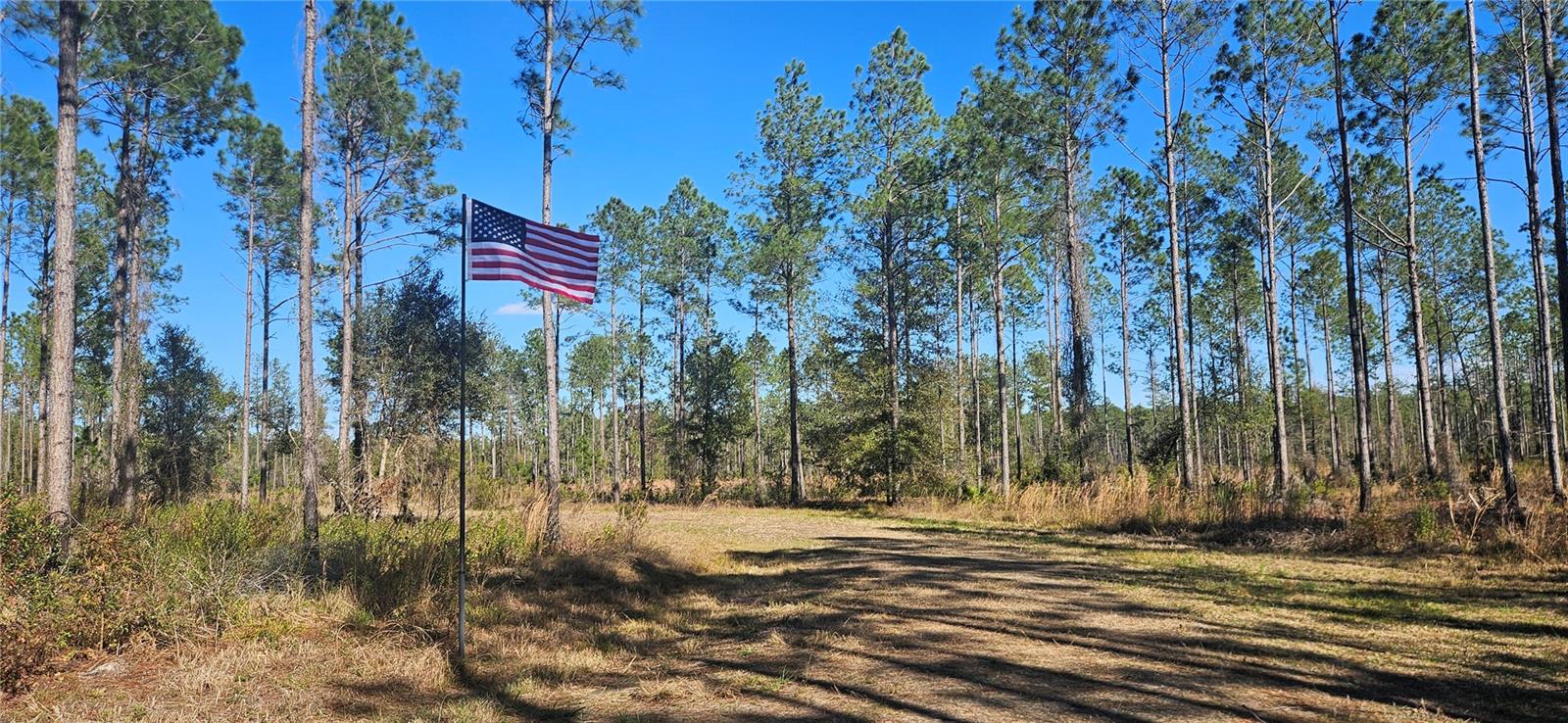 Image 18 of 33 For 98ac 137th Avenue Road