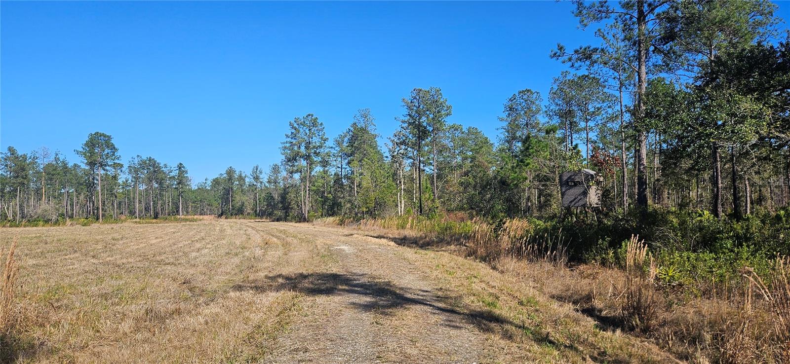 Image 19 of 33 For 98ac 137th Avenue Road