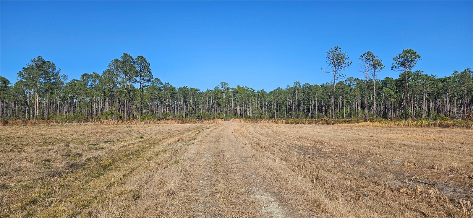 Image 22 of 33 For 98ac 137th Avenue Road