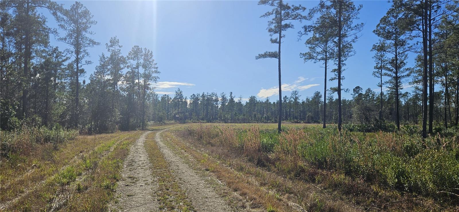 Image 23 of 33 For 98ac 137th Avenue Road