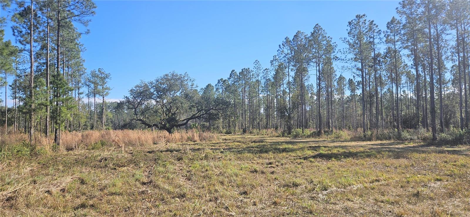 Image 24 of 33 For 98ac 137th Avenue Road