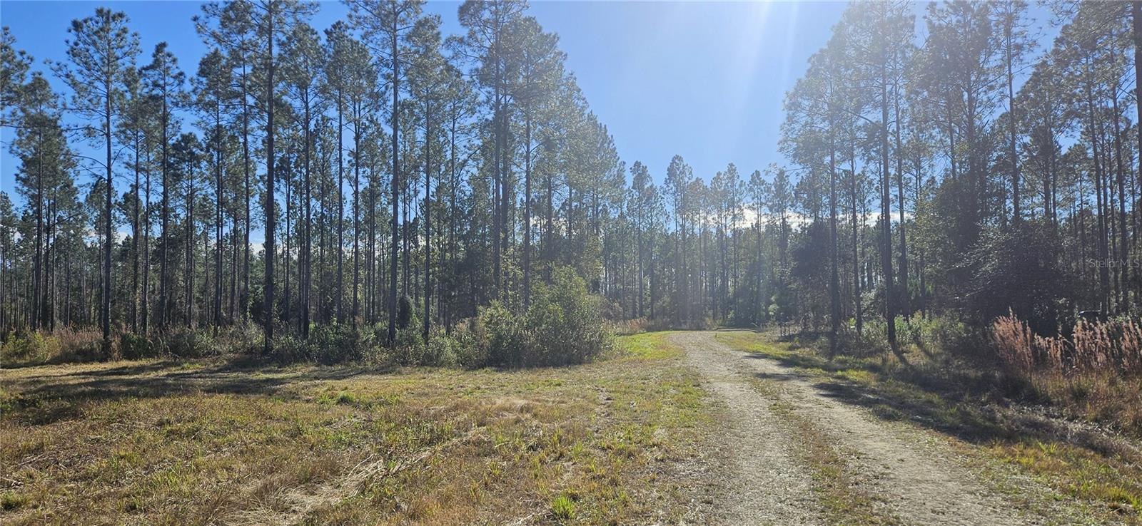 Image 25 of 33 For 98ac 137th Avenue Road