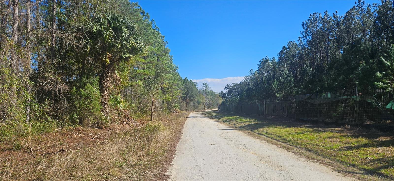 Image 26 of 33 For 98ac 137th Avenue Road