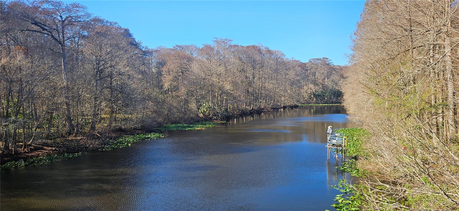 Image 31 of 33 For 98ac 137th Avenue Road