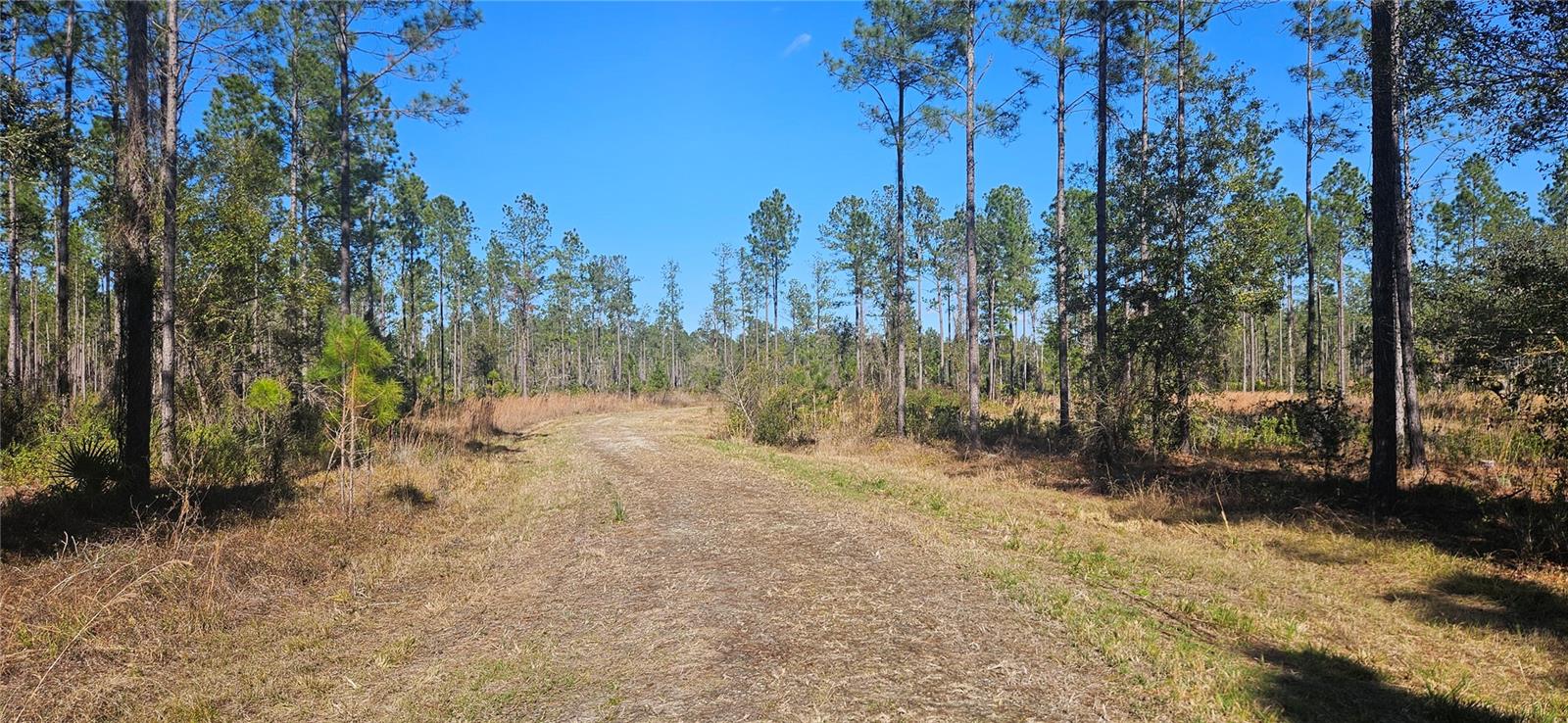 Image 4 of 33 For 98ac 137th Avenue Road