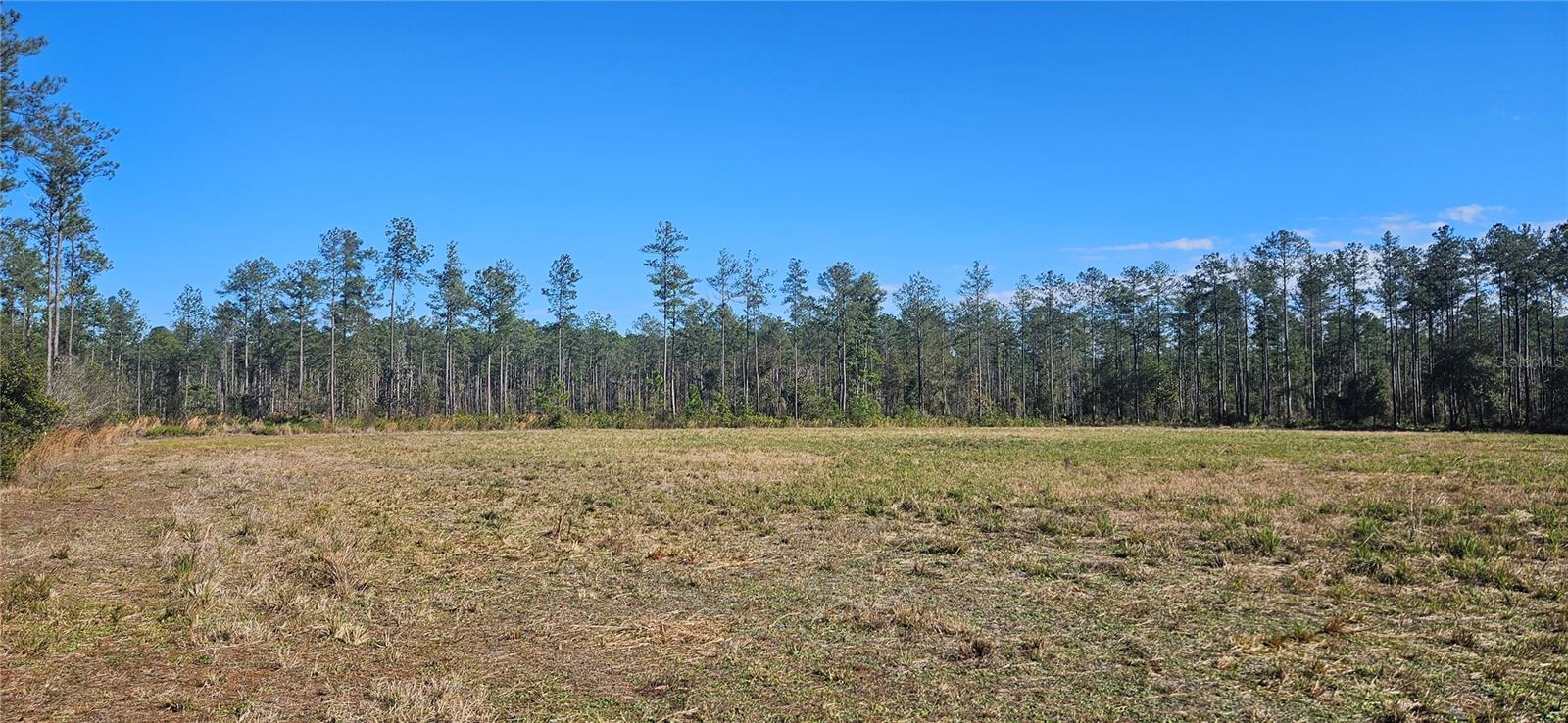 Image 5 of 33 For 98ac 137th Avenue Road