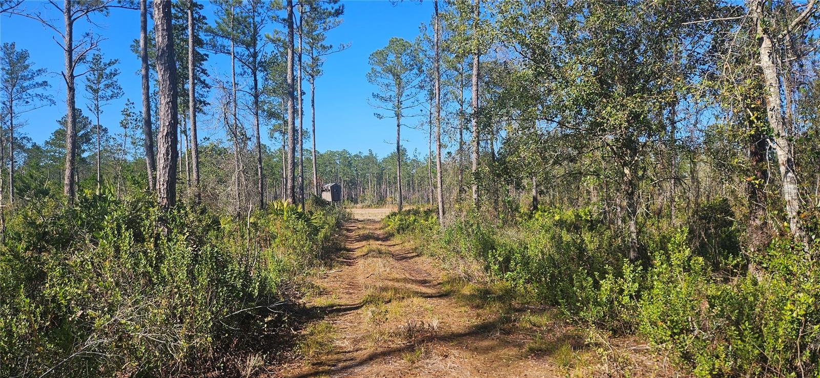 Image 6 of 33 For 98ac 137th Avenue Road