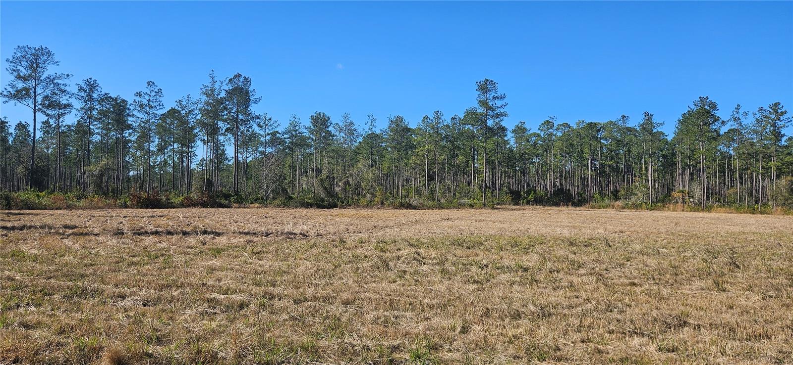 Image 7 of 33 For 98ac 137th Avenue Road