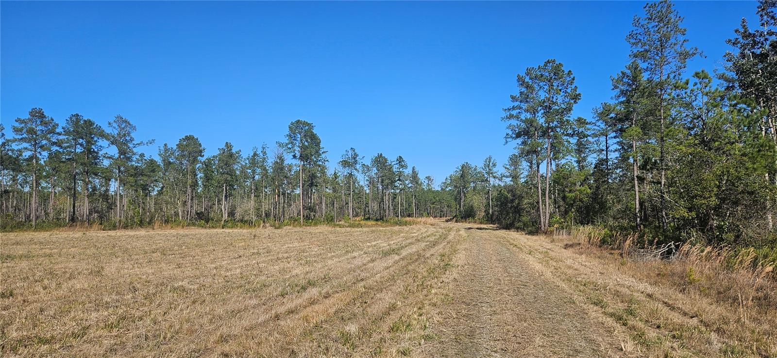 Image 8 of 33 For 98ac 137th Avenue Road