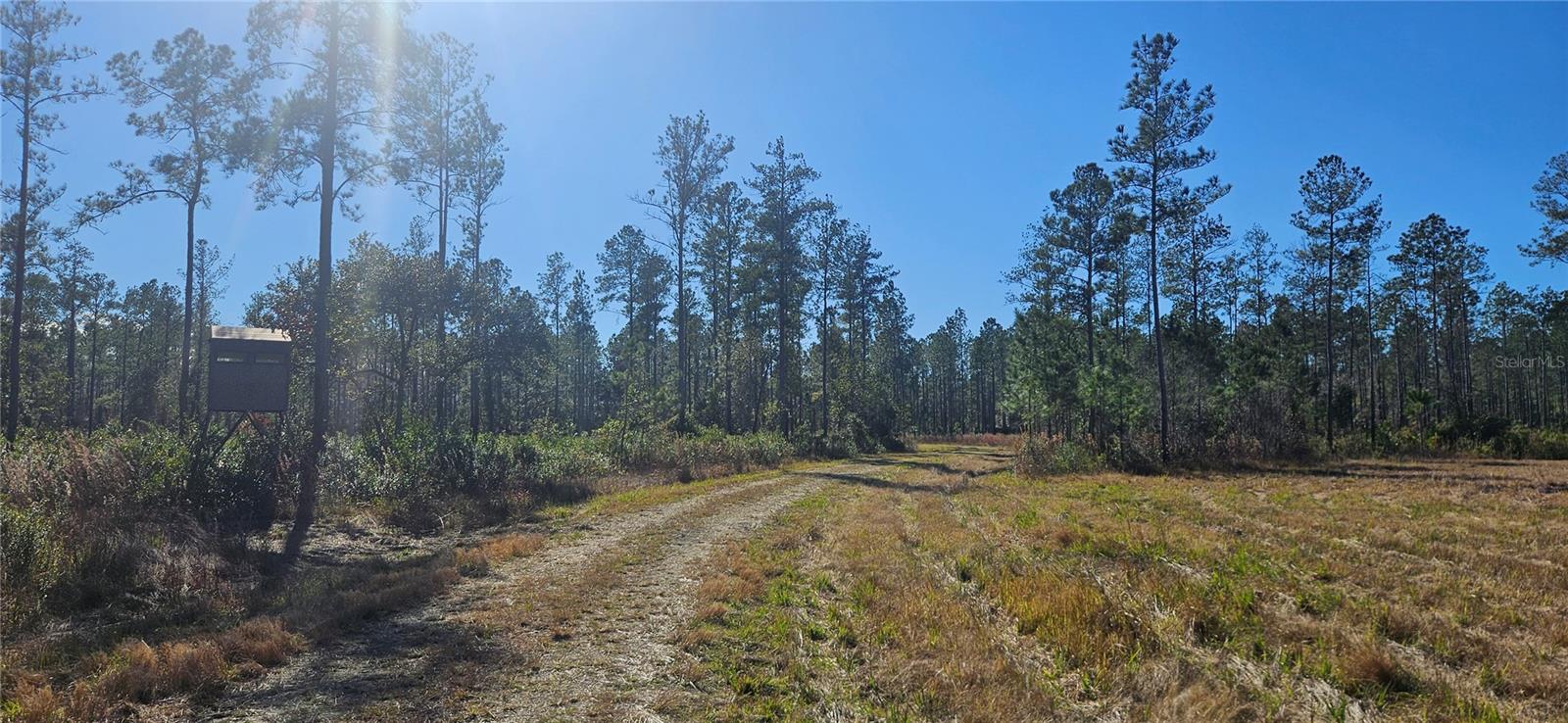 Image 9 of 33 For 98ac 137th Avenue Road