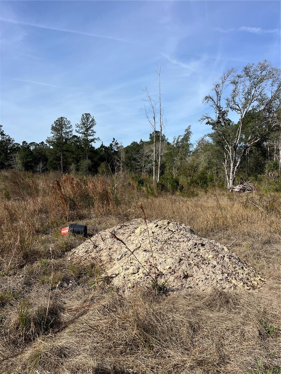 Image 3 of 4 For 137th Place Ne