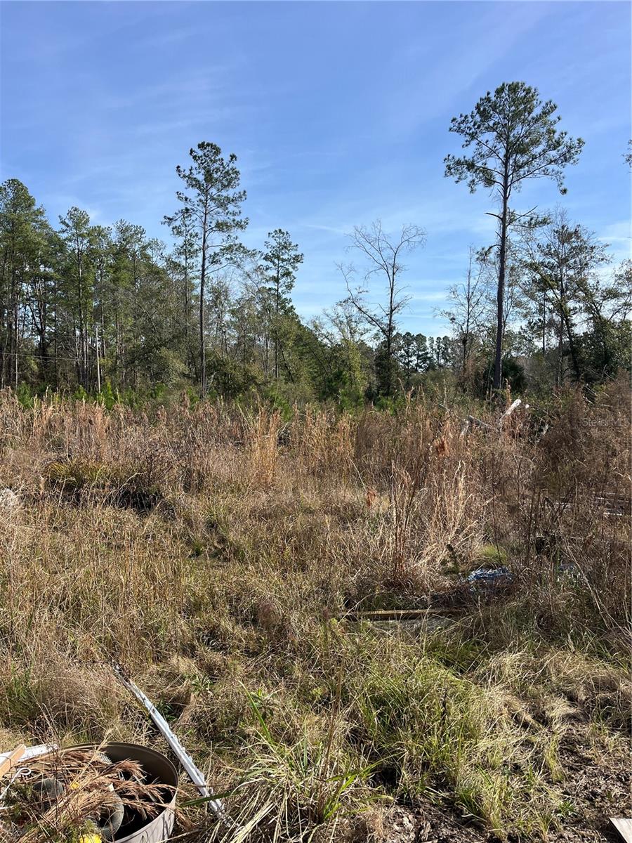 Image 4 of 4 For 137th Place Ne