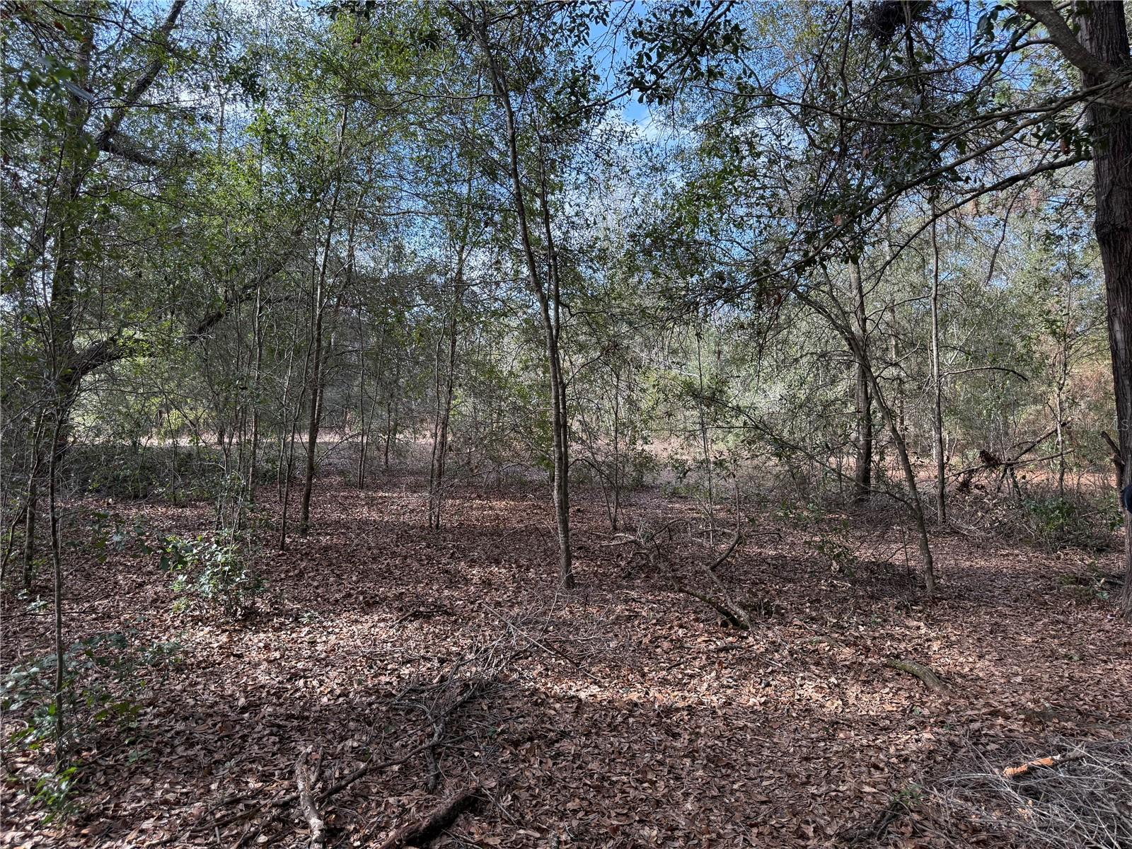 Image 10 of 17 For 92nd Court