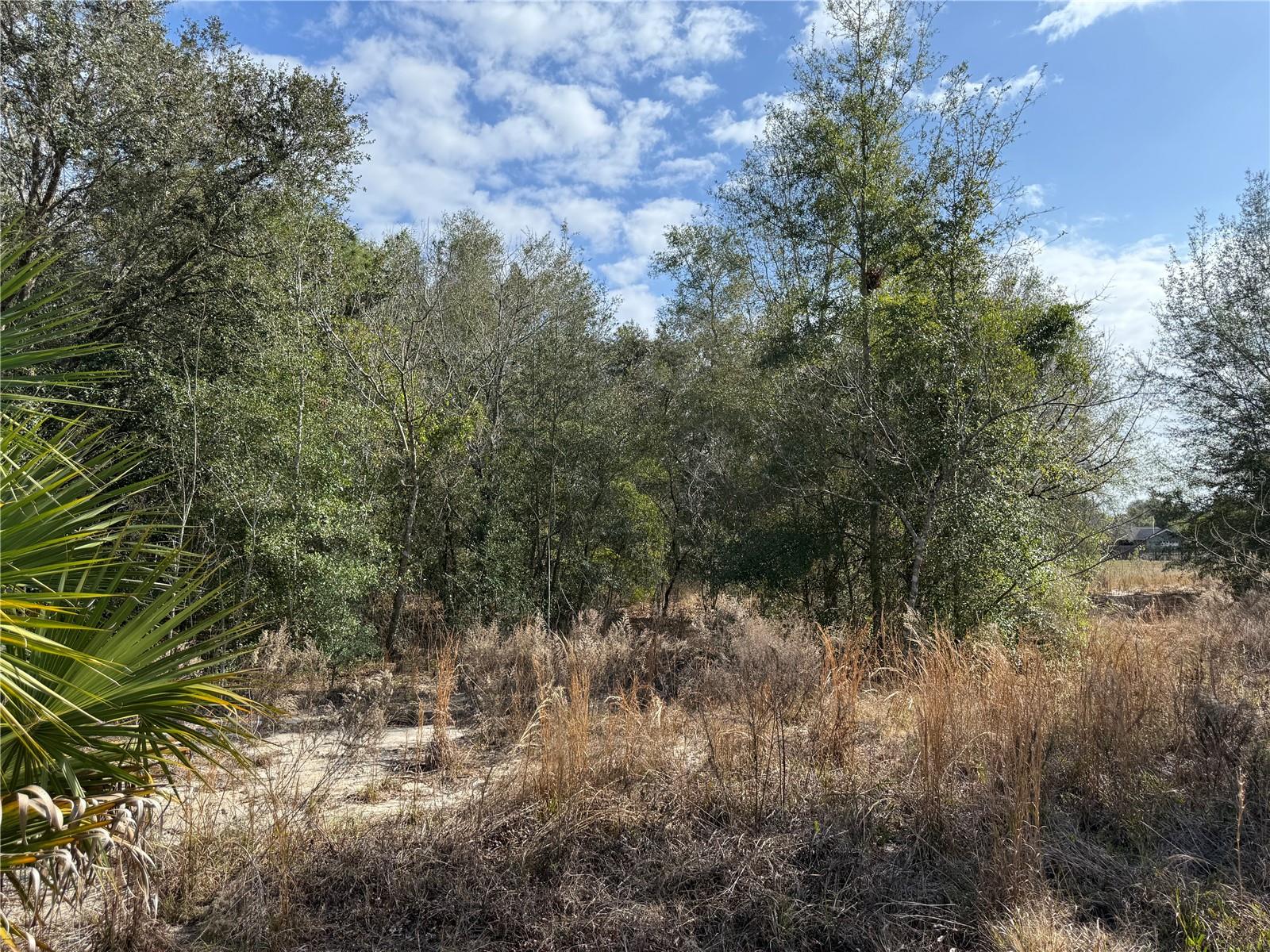 Image 13 of 17 For 92nd Court