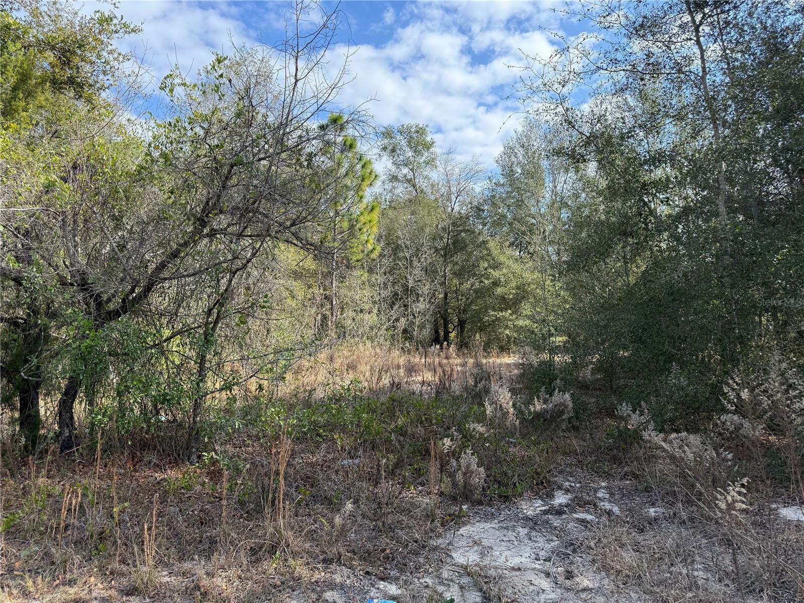 Image 2 of 17 For 92nd Court