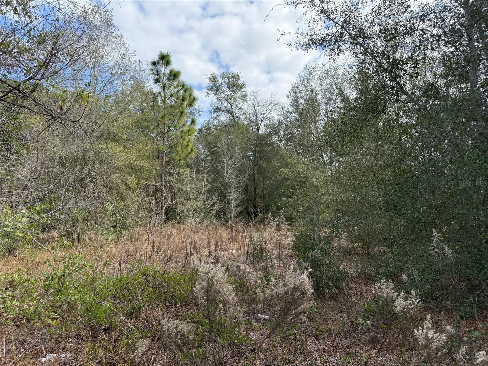 Image 3 of 17 For 92nd Court