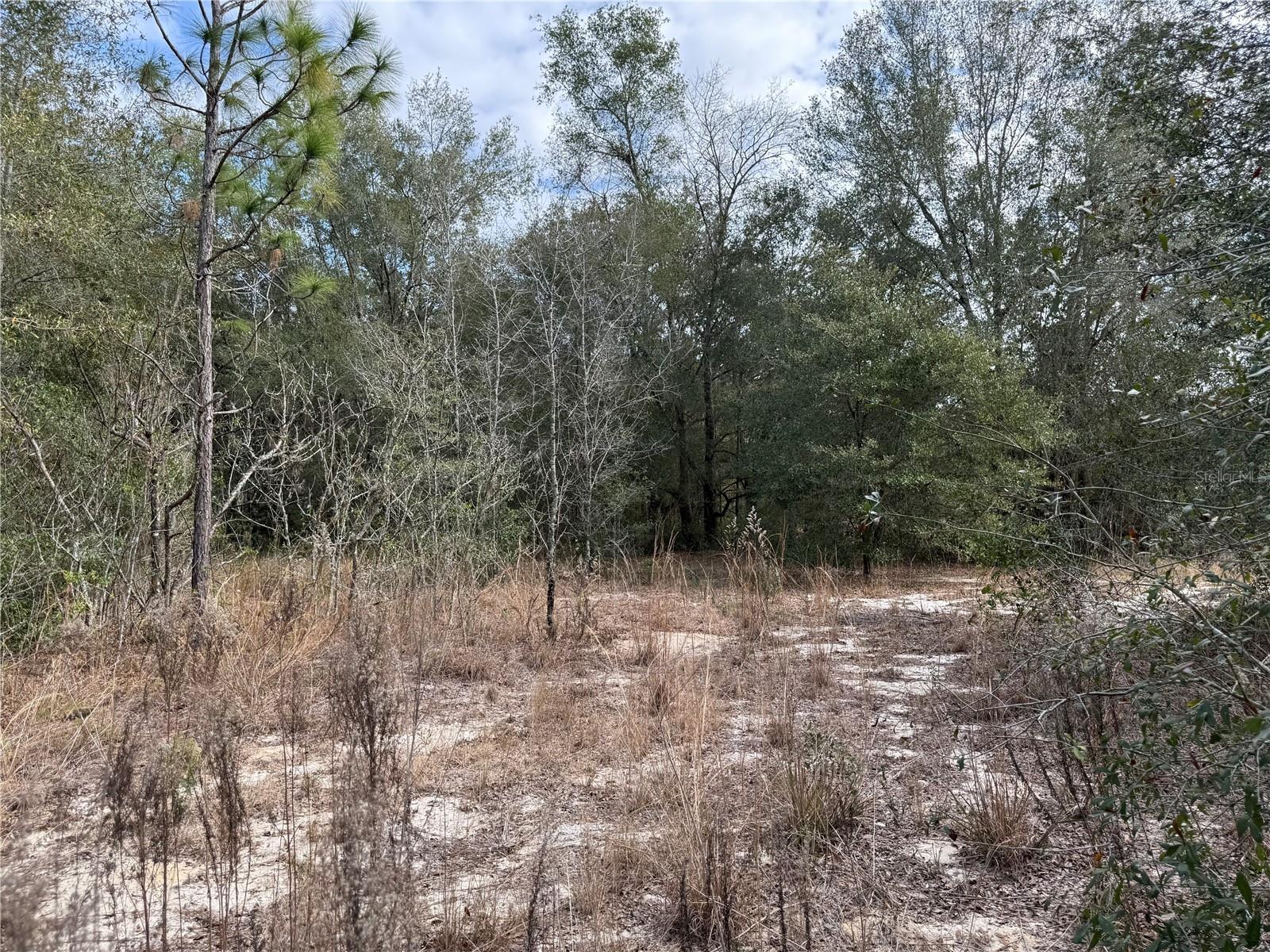 Image 4 of 17 For 92nd Court