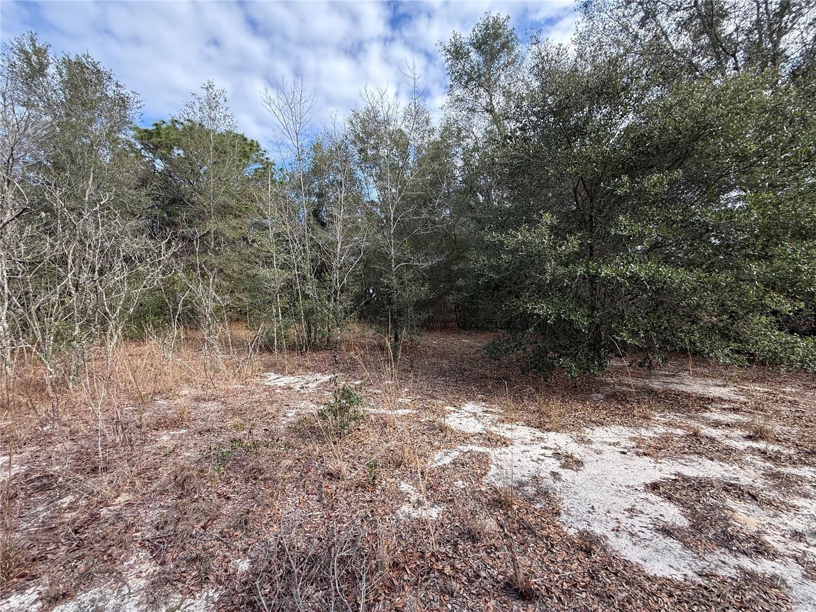 Image 5 of 17 For 92nd Court